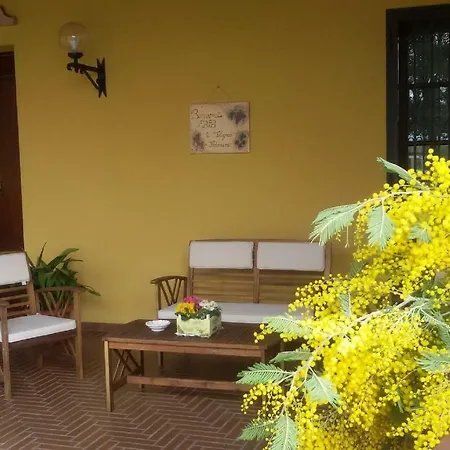 Bed & Breakfast La Vigna Di Federico