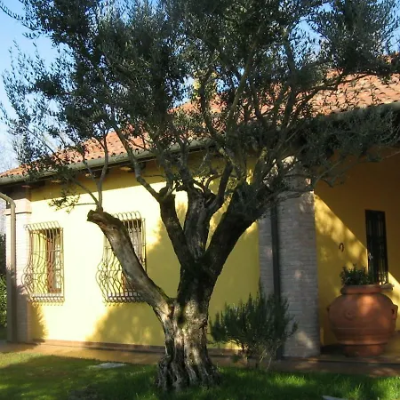 La Vigna Di Federico Bed & Breakfast *